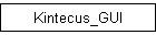Kintecus_GUI